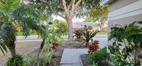 24633 Laurel Ridge Dr, Lutz FL  33559-8619 exterior
