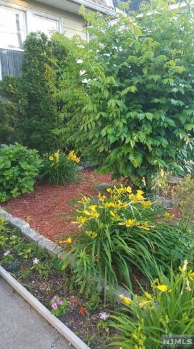 24 Manner Ave, Outwater NJ  07026-1410 exterior