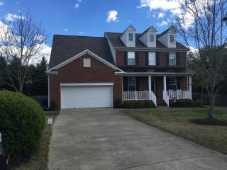 205 Tamora Ct, Simpsonville SC  29681-1993 exterior