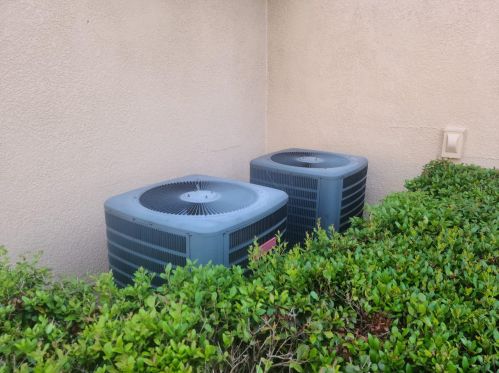 6019 Cape Loop, Land O Lakes FL  34639-2700 exterior