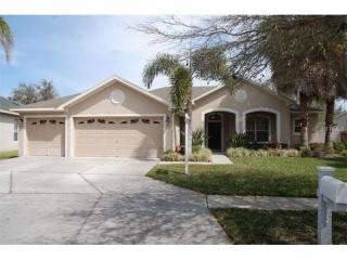 11111 Wildcat Dr, Riverview, FL 33579-0707