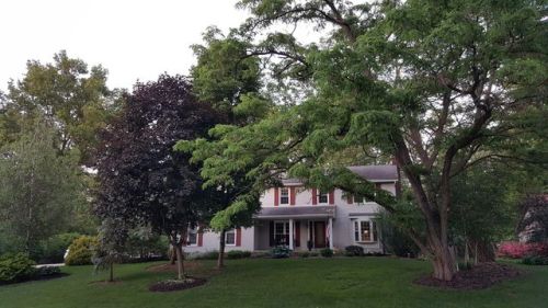 4373 Meadowlark Trl, Cuyahoga Falls OH  44224-2461 exterior