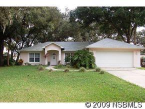 1417 Needle Palm Dr, Edgewater, FL 32132-2646