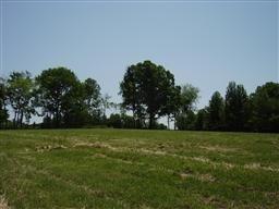 5731 Walker Hill Rd, Franklin, TN 37064-9299