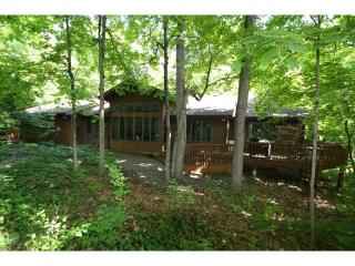3502 Larchwood Dr, Hopkins MN  55345-1128 exterior