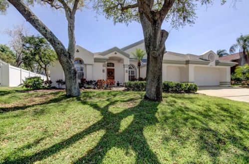 849 Belted Kingfisher Dr, Palm Harbor, FL 34683-6678