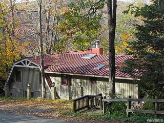 4 Four Wheel Dr, Ellicottville, NY 14731-9510