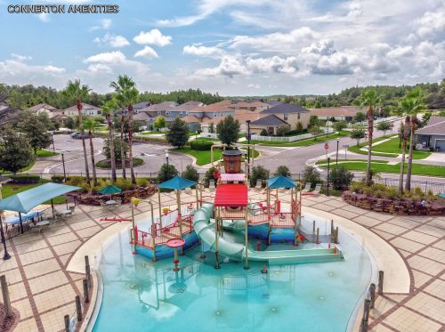 8239 Swiss Chard Cir, Land O Lakes FL  34637-7662 exterior