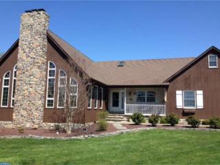4074 Willey Dr, Blackbird, DE 19734-9418