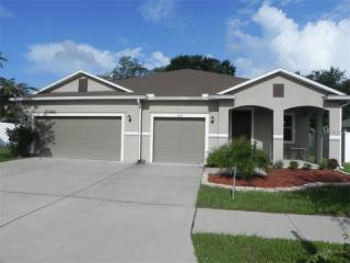 11105 Hartford Fern Dr, Riverview, FL 33569-2236