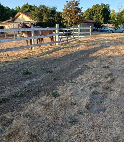 1145 Sherry Ln, San Martin, CA 95046-9719