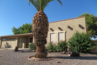 4542 Catalina Ave, Mesa, AZ 85206-5041