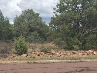 1604 Piper Pkwy, Payson, AZ 85541-3515