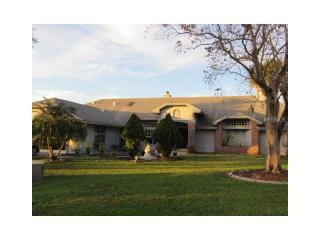 2603 Talon Ct, Orlando, FL 32837-6962