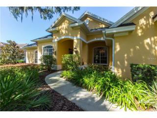 15817 Sorawater Dr, Lithia, FL 33547-3911