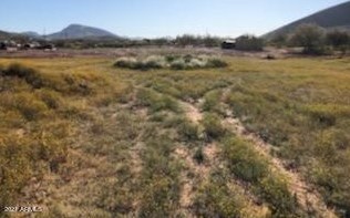 43201 14th St, Phoenix AZ 85087-7979 exterior