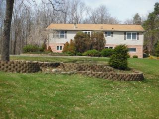 121 Borden Hl, Breesport, NY 14816-9730