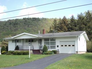 311 Williamson Rd, Blakes, PA 16912-1212