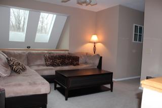 9635 Idlewood Dr, Twinsburg, OH 44087-1684