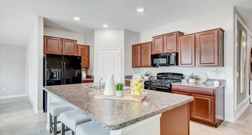 16635 Delia St, Wimauma FL  33598 exterior