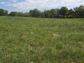 15 Old Lime Kiln Rd, Oak Park, NC 28704-9498