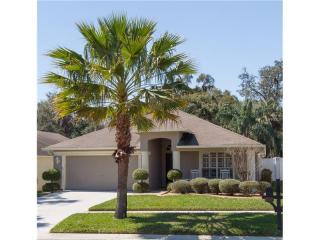 3517 Gray Whetstone St, Brandon, FL 33511-7793