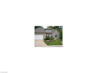 113 Providence Ct, Cleveland, OH 44108-1178