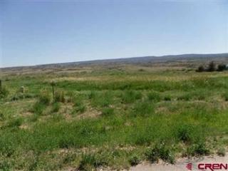 251 Eagle Trail Ct, Whitewater, CO 81527-9429