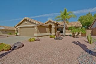 6330 Regina St, Mesa AZ  85215-0780 exterior