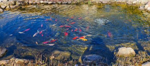 140 Congress Dr, West Bend WI  53095-9518 exterior