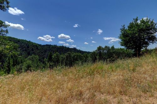 19121 Greenhorn Rd, Grass Valley CA  95945-8627 exterior