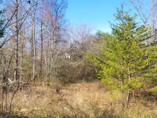 1642 Marvin Shafer Way, Knoxville, TN 37931-4476