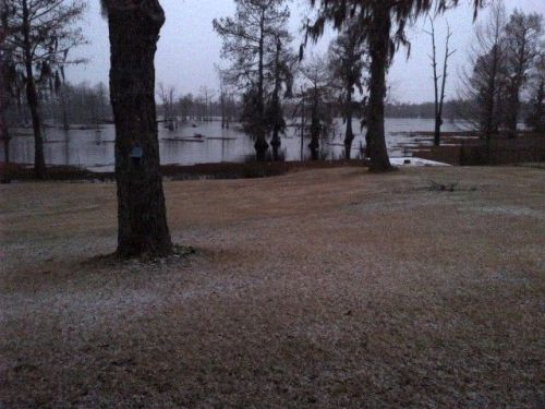 357 Bistineau Lake Rd, Woodardville, LA 71068-3414