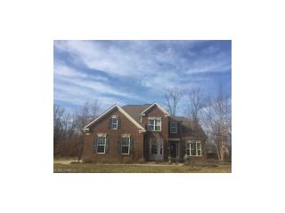 2798 Parnham Dr, Medina, OH 44256-4701