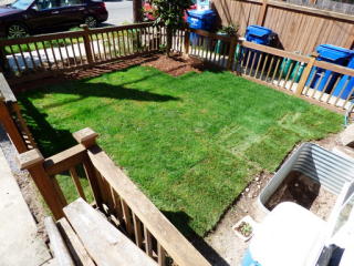 12316 33rd Ave, Seattle WA  98125-5610 exterior