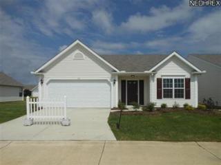 116 Carrington Ct, Elyria, OH 44035-8987