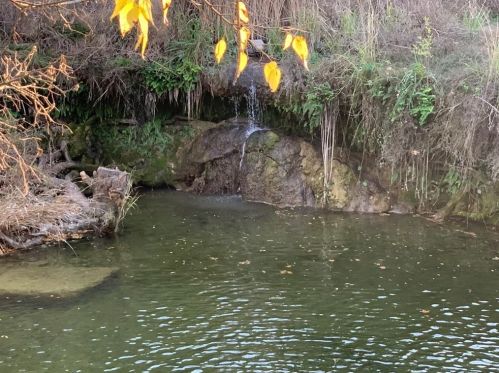 325 Fantail Loop, Austin TX  78734-4152 exterior