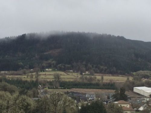 522 Fawn Ln, Philomath OR  97370-4102 exterior