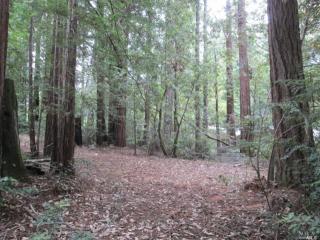 46051 Tickled Pink Dr, The Sea Ranch, CA 95445-7515