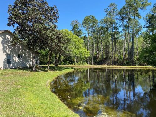 12050 Roseland Dr, New Port Richey, FL 34654-6316