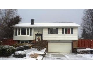 8917 White Oak Dr, Twinsburg, OH 44087-1745