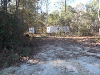 6449 20th Ave, Bell, FL 32619-4545