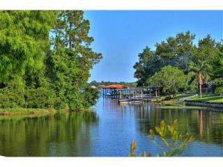 332 Feather Pl, Longwood, FL 32779-4843