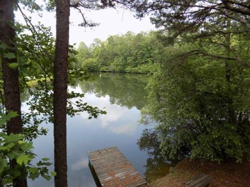 69 Lazy Creek Ln, Unaka, NC 28906-7157