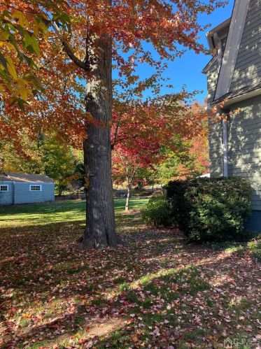 368 Middlesex Ave, Metuchen NJ  08840-1536 exterior