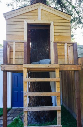 817 Cross St, Woodland CA  95695-4040 exterior