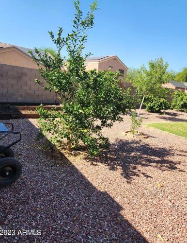 2135 St Pedro Ave, Casa Grande AZ  85122-6363 exterior