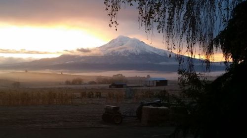 14431 Old Westside Rd, Grenada, CA 96038-9618
