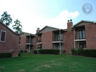 2209 Montgomery Park Blvd, Conroe TX  77304-3523 exterior