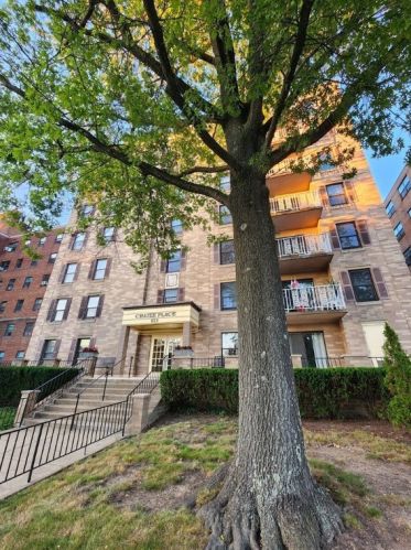 923 California Ave, Pittsburgh PA 15202-2704 exterior